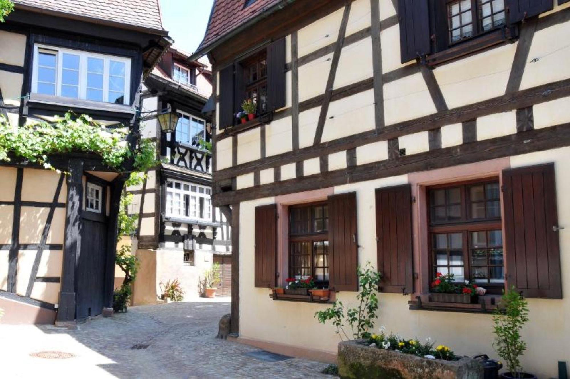 Ferienwohnung Sester Генгенбах Экстерьер фото